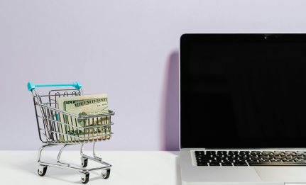 Professional ecommerce website development services