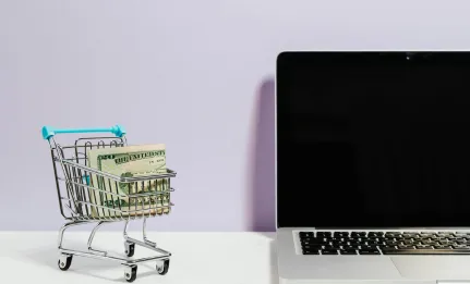 Professional ecommerce website development services