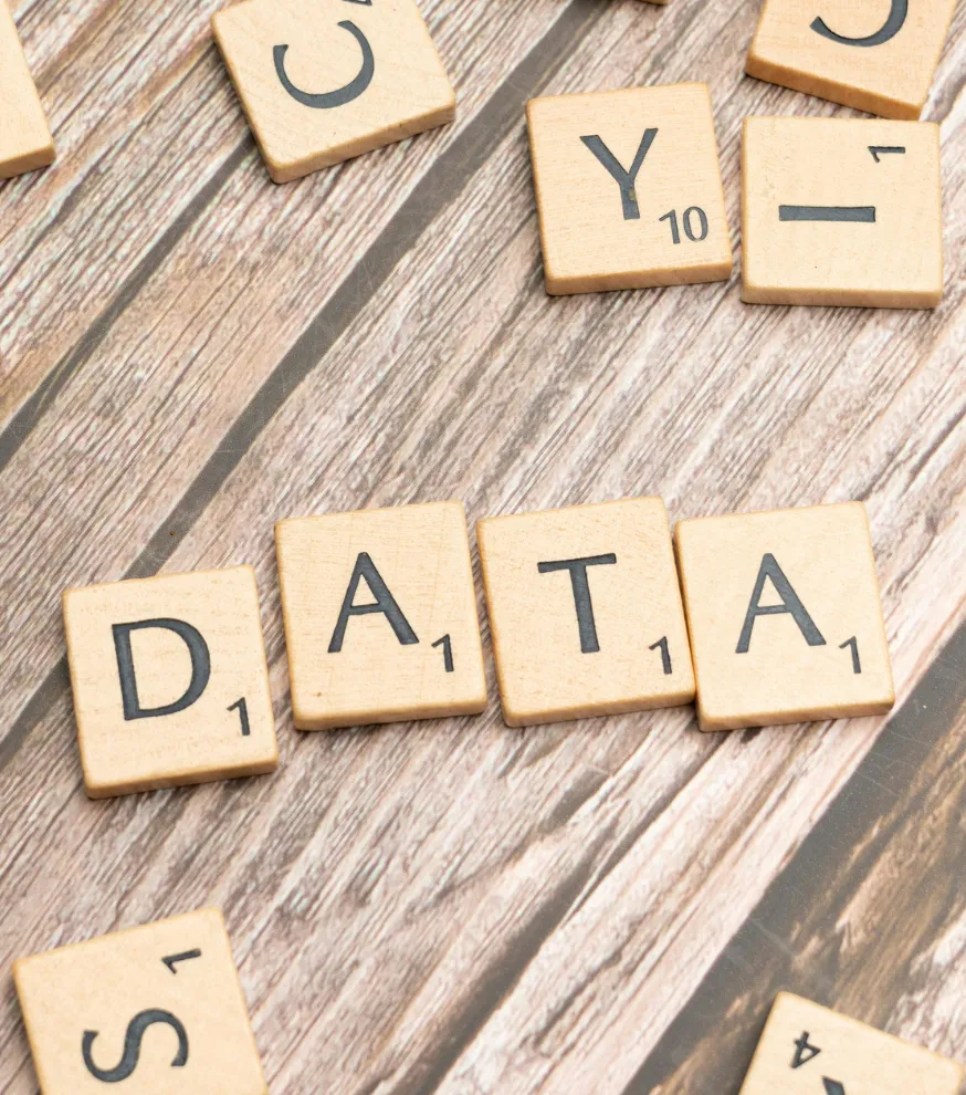 Data preparation and integration process