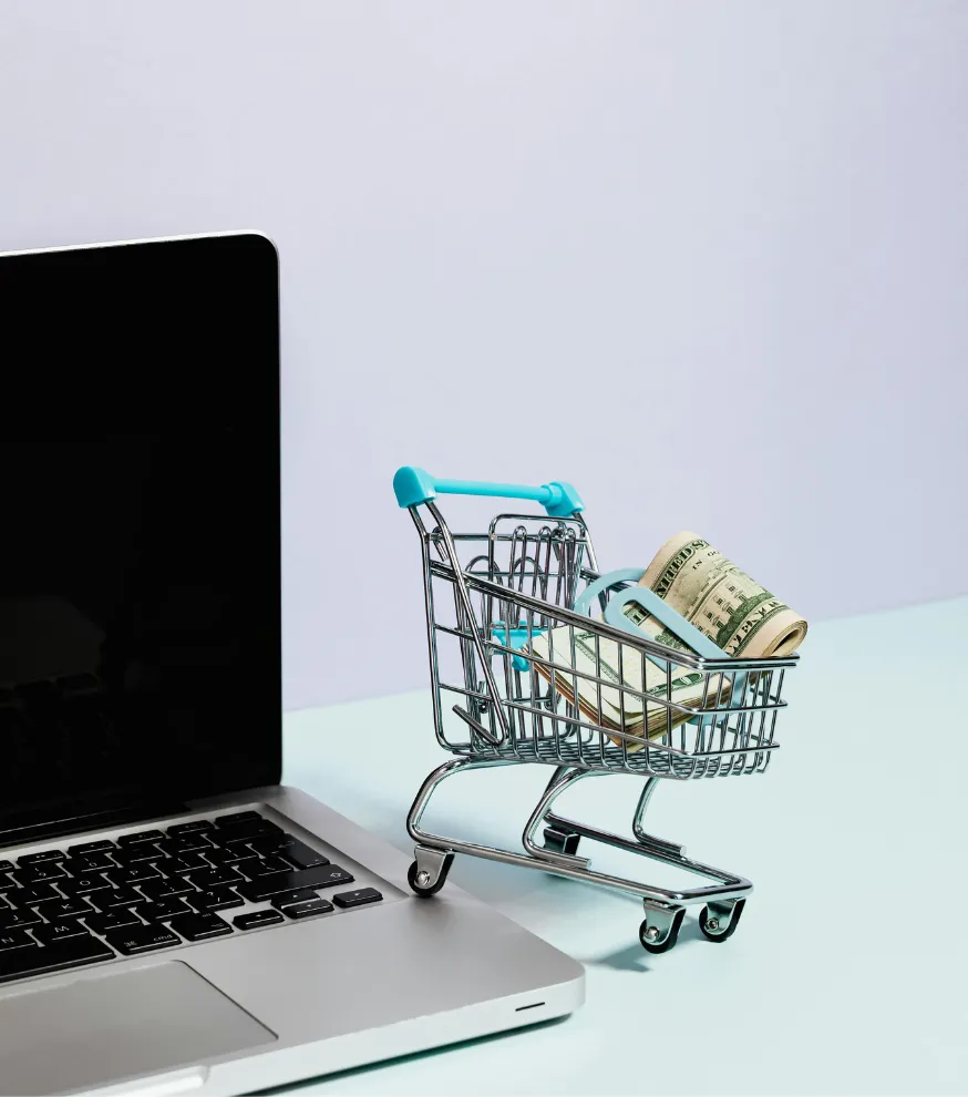 Online shopping website user experience design