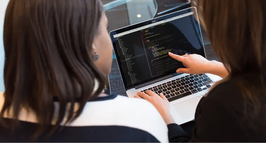 Web application development team