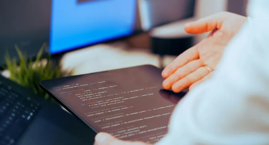 Professional IoT software development services