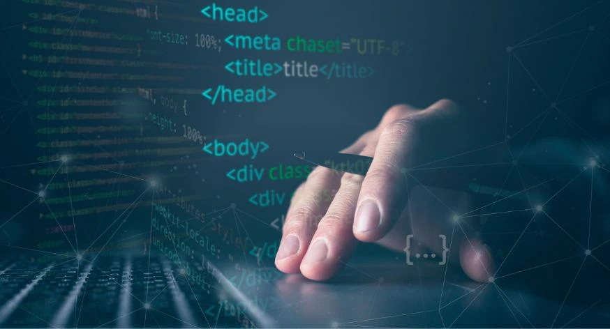 Professional Web Development Team